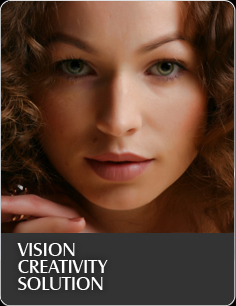 VISION   CREATIVITY   SOLUTION